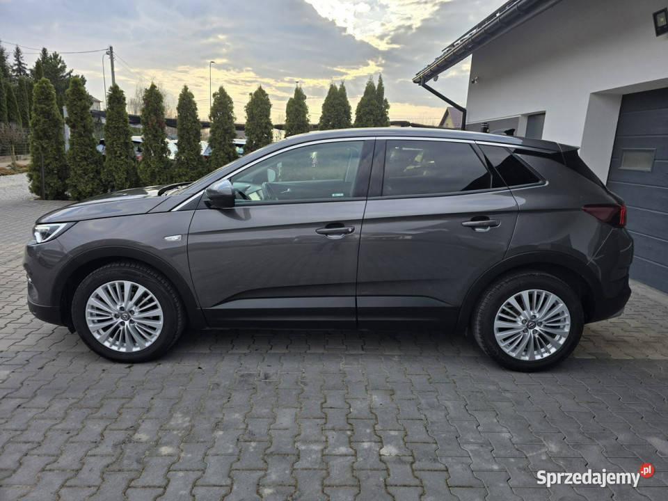 Opel Grandland X Żabno