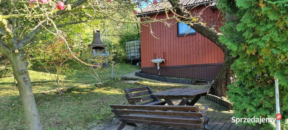 Sprzedam dużą urokliwą skrajną działkę ROD 5 Cieszyn