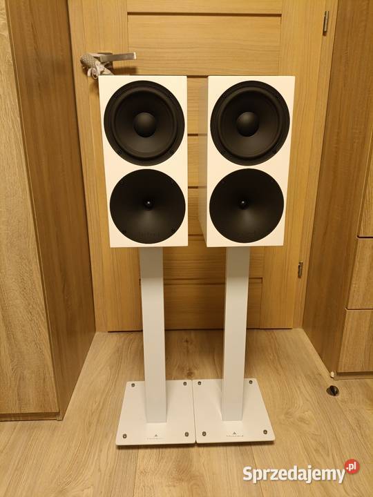 Kolumny głośnikowe Buchardt Audio P 300