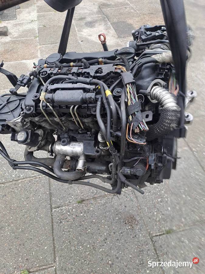 Citroen Peugeot 16 HDi 109 silnik kompletny kod Rok produkcji 2009 śląskie Jastrzębie-Zdrój