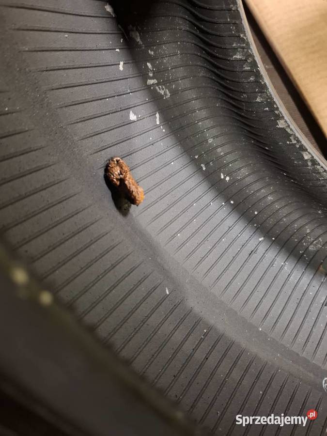 24535 18 RSC Bridgestone 1821 Obrzycko L2555 wielkopolskie Zielonagóra sprzedam