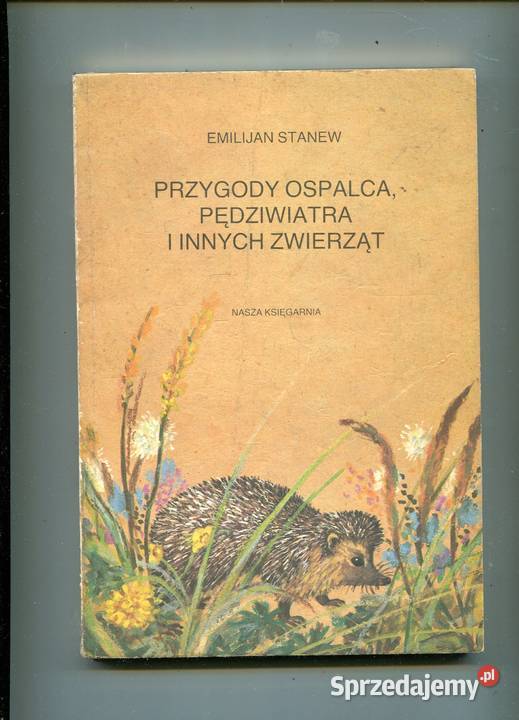 Przygody Ospalca Pędziwiatra i innych zwierząt miękka Szczecin