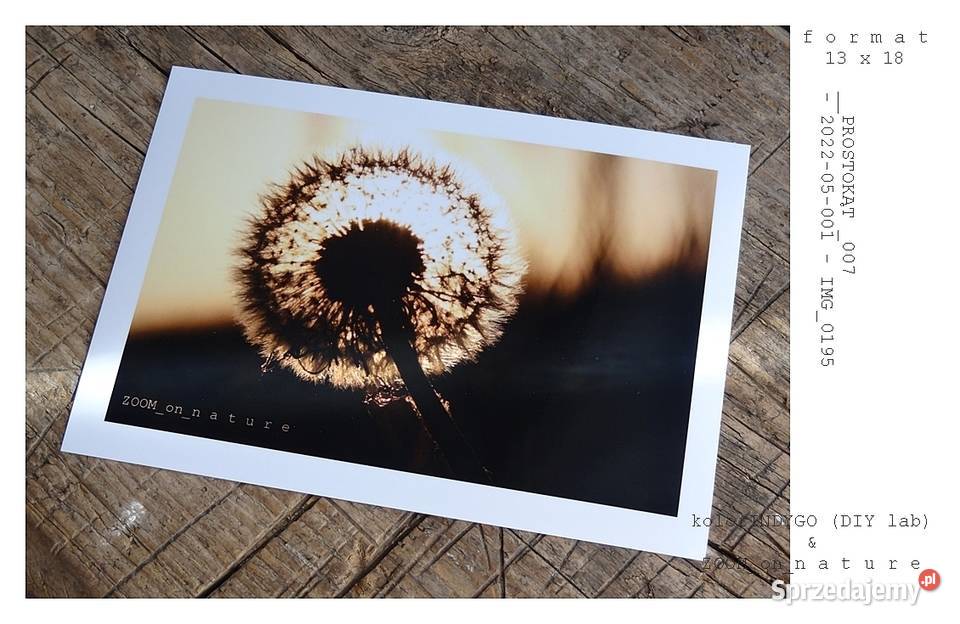 ZDJĘCIA przyrodnicze czII Witnica