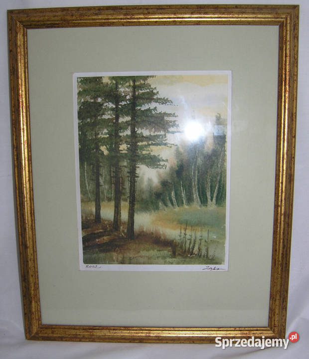 obraz akwarela w złotych ramachMD dolnośląskie