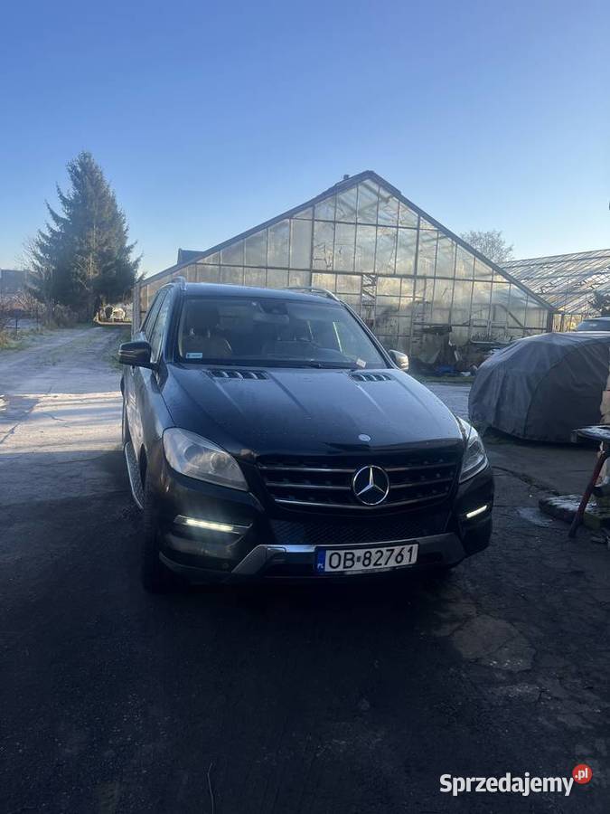 Wdb1667867854877777779999 nieuszkodzony dolnośląskie Wrocław sprzedam