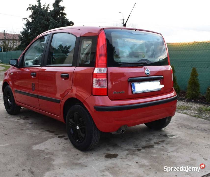 Fiat Panda 11 Hatchback Płock