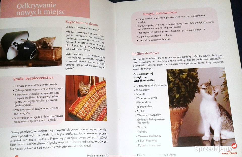 Życie z kotem Opieka i wychowanie Renner Lenfant miękka Pozostałe Chełm
