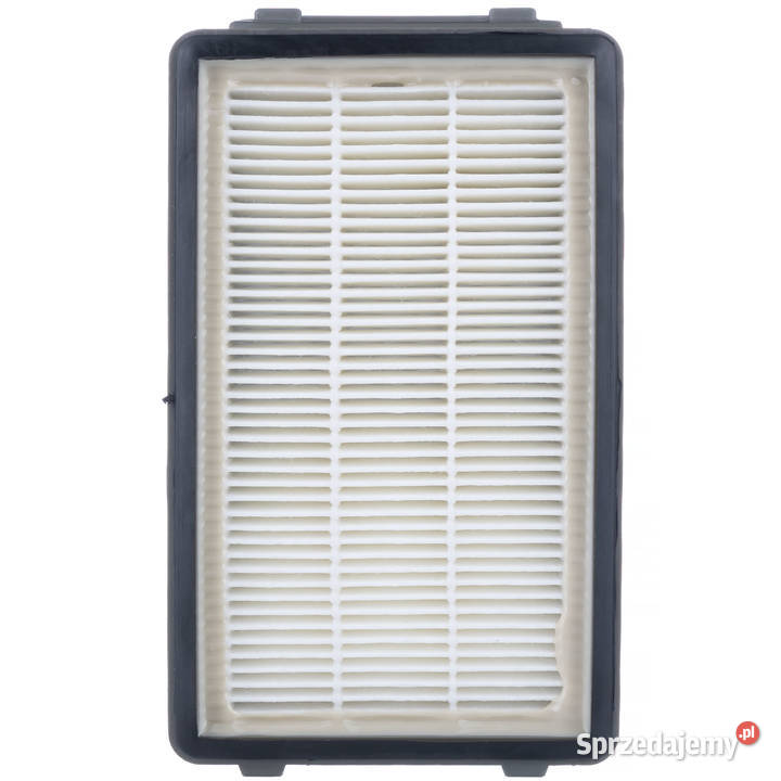 Filtry do Odkurzacza Tefal RO371 4 Sztuki HEPA i Ludźmierz