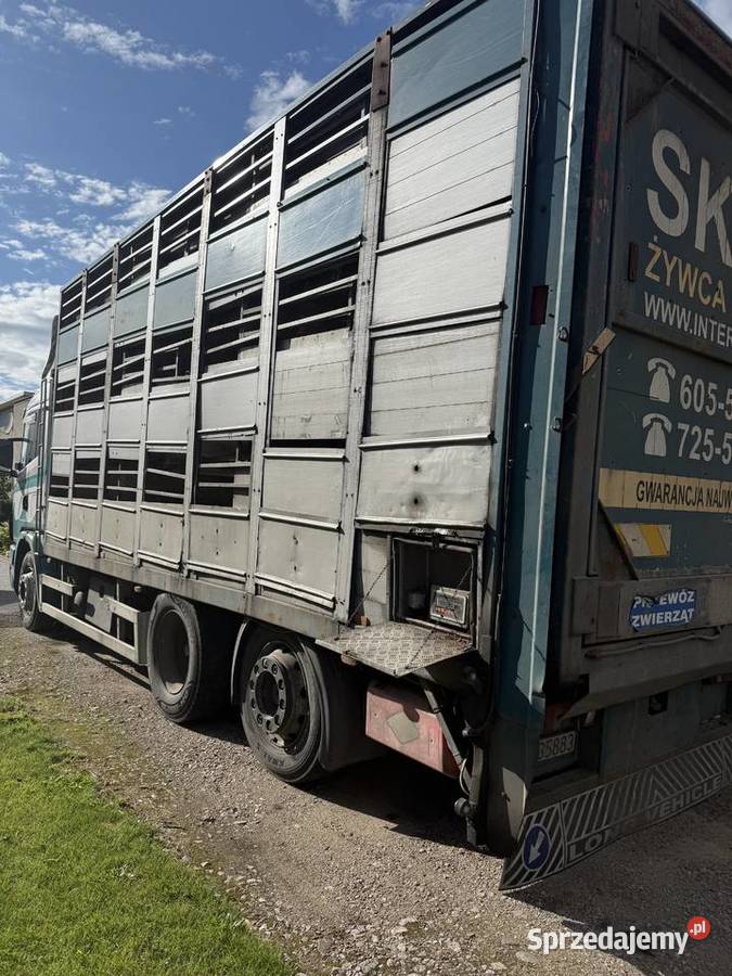 Scania do przewozu zwierząt żywca 3 poziomy Waga Opalenica