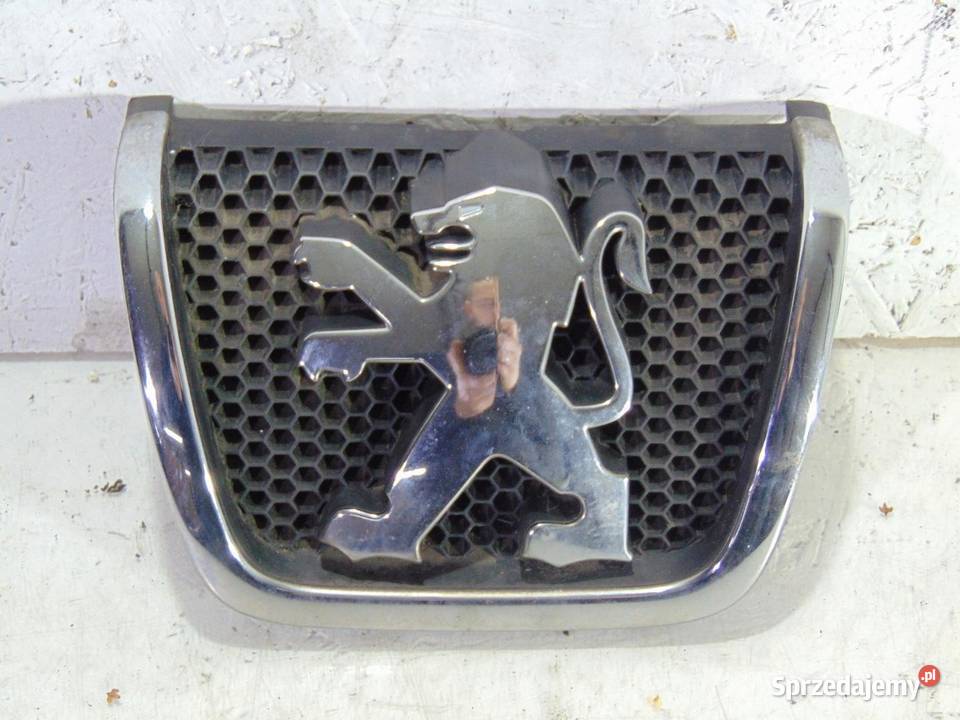 GRILL ATRAPA PEUGEOT PARTNER LIFT