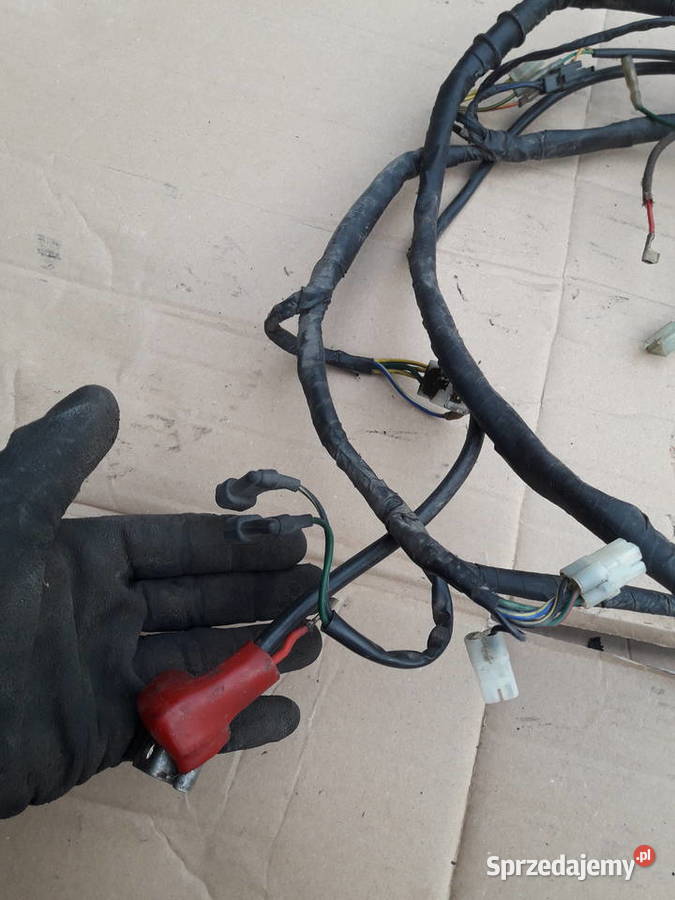 ISNTALACJA ELEKTRYCZNA WIAZKA DUZA DAELIM OTELLO podkarpackie sprzedam