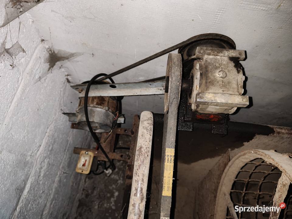 Sortownik do ziemniaków Wichrowice