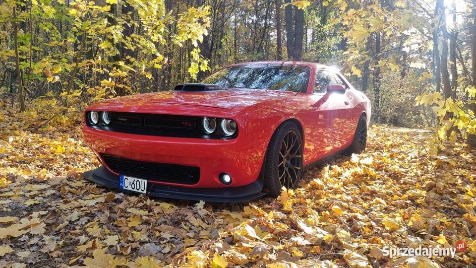 Dodge Challenger 64 Scatpack 2016 Bydgoszcz