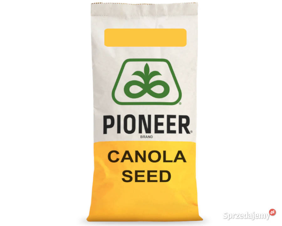 Nasiona rzepaku Pioneer PT279CL Pozostałe Witkowo
