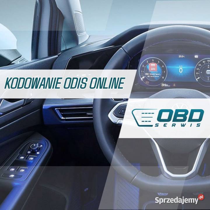 Kodowanie VAG ODIS online Poznań dojazd Usługi Luboń