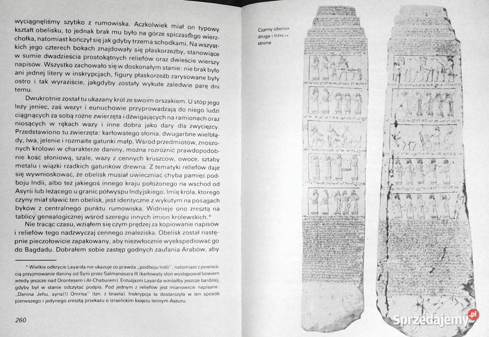 W poszukiwaniu Niniwy Austen Henry Layard Rok wydania 1983 lubelskie Chełm