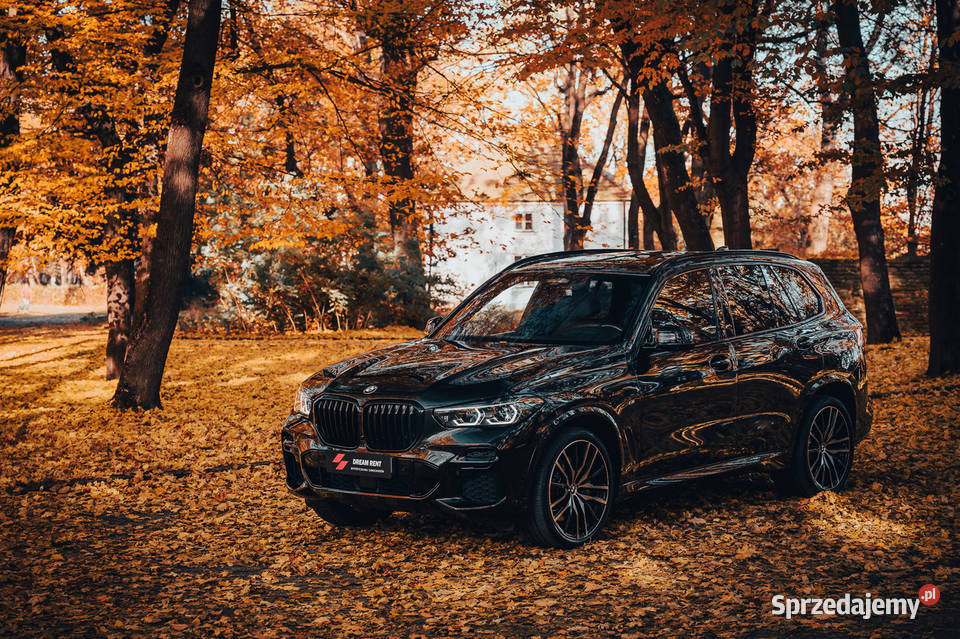 Wypożyczalnia Samochodów BMW X5 40d xDrive Warszawa