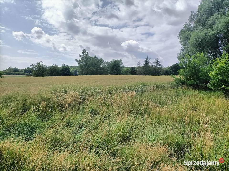 Działka budowlana Cieszeniewo