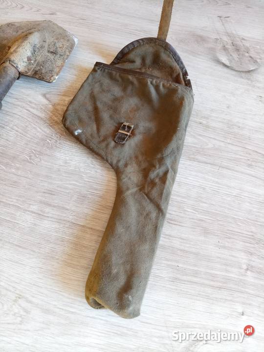 Saperka podkarpackie Stalowa Wola