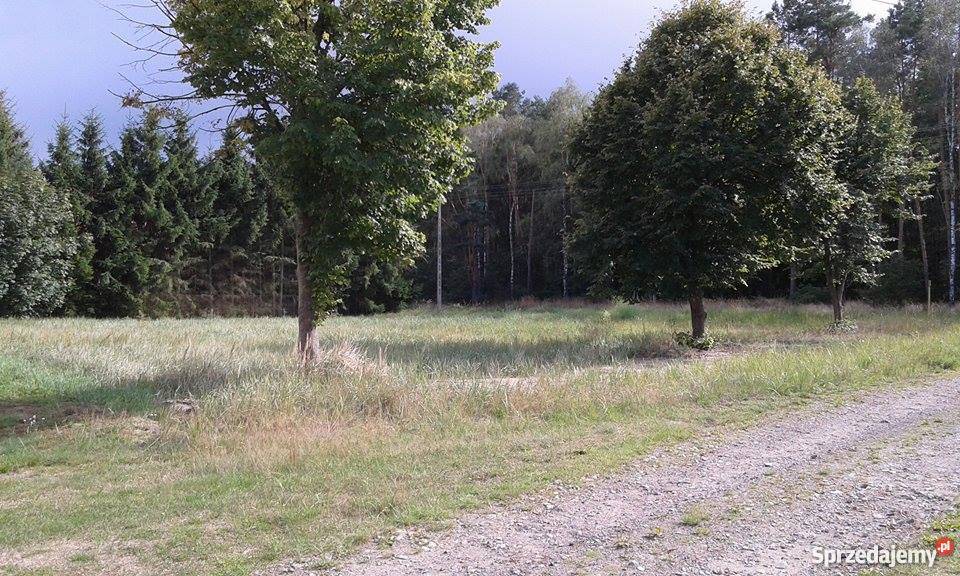 Piękna działka budowlana 25 min Szczecina