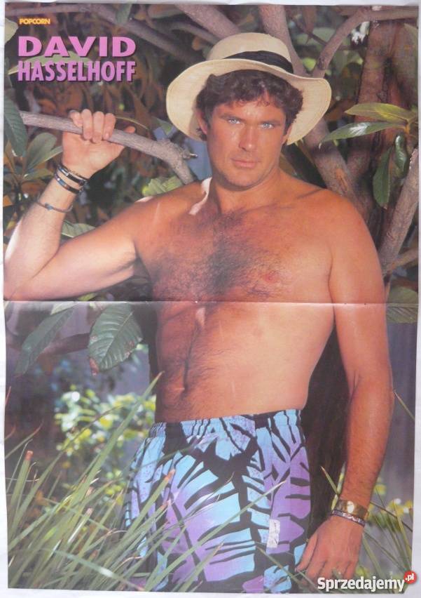 PLAKAT HASSELHOFF DAVID THE REMBRANDTS Bydgoszcz