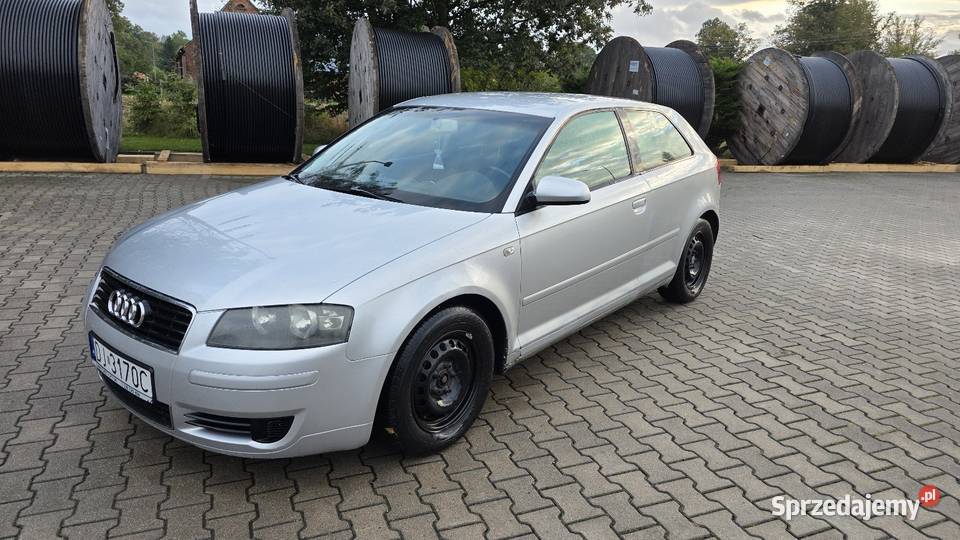 Audi A3 8P 16 MPI Długie opłaty srebrny
