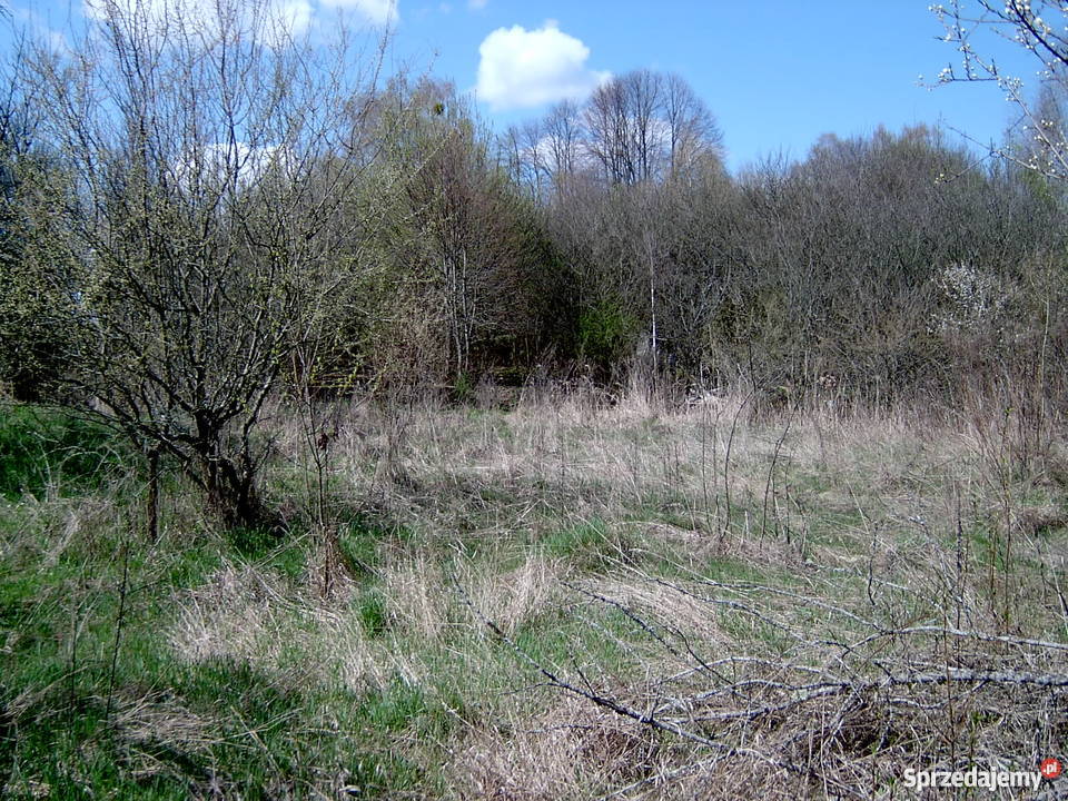 Siedliskodom drewn Ozierany Wielkie gmKrynkinowa Ozierany Wielkie