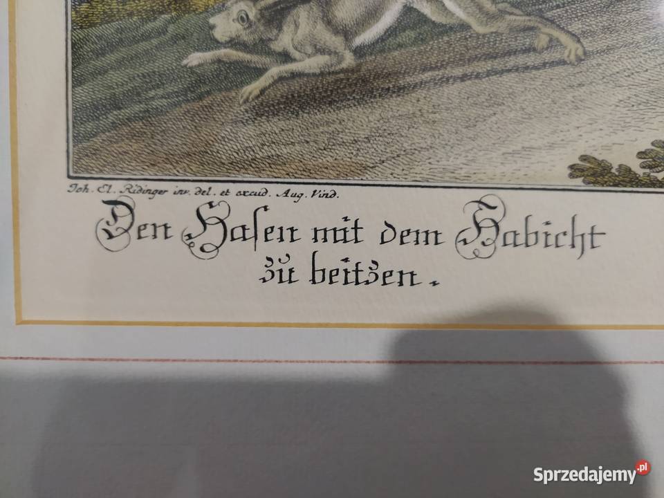 RIDINGER JE GRAFIKA MIEDZIORYT Malarstwo Siechnice