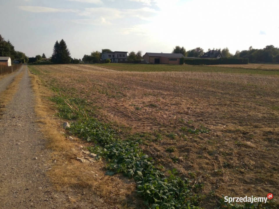 Spokojna działka Lublina 8min Warszawy 15h Sprzedaż lubelskie