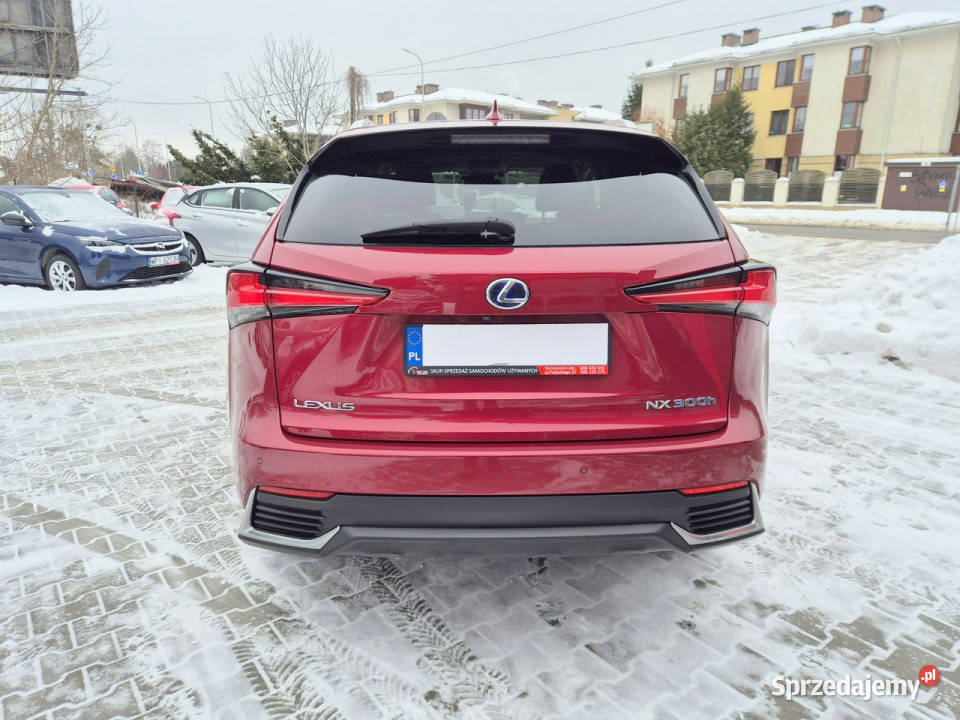 Lexus NX Bezwypadkowy I 20142021 napęd 4x4 Konstancin-Jeziorna