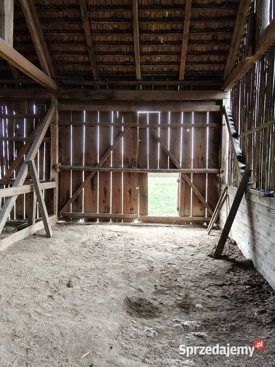 Pomieszczenie magazynowe przechowalnia Wynajem Krotoszyn sprzedam