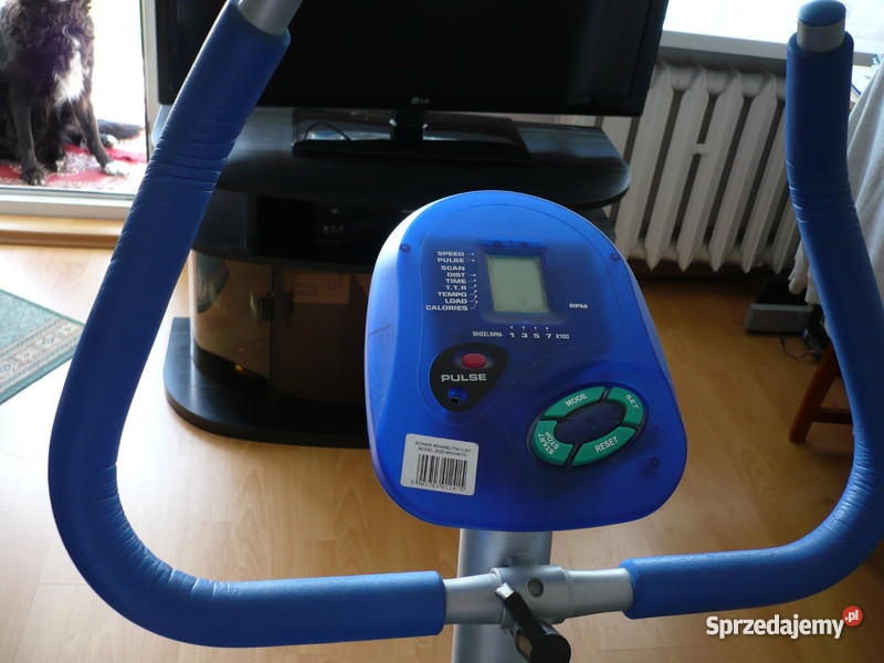 Rower STACJONARNY ACTIVE