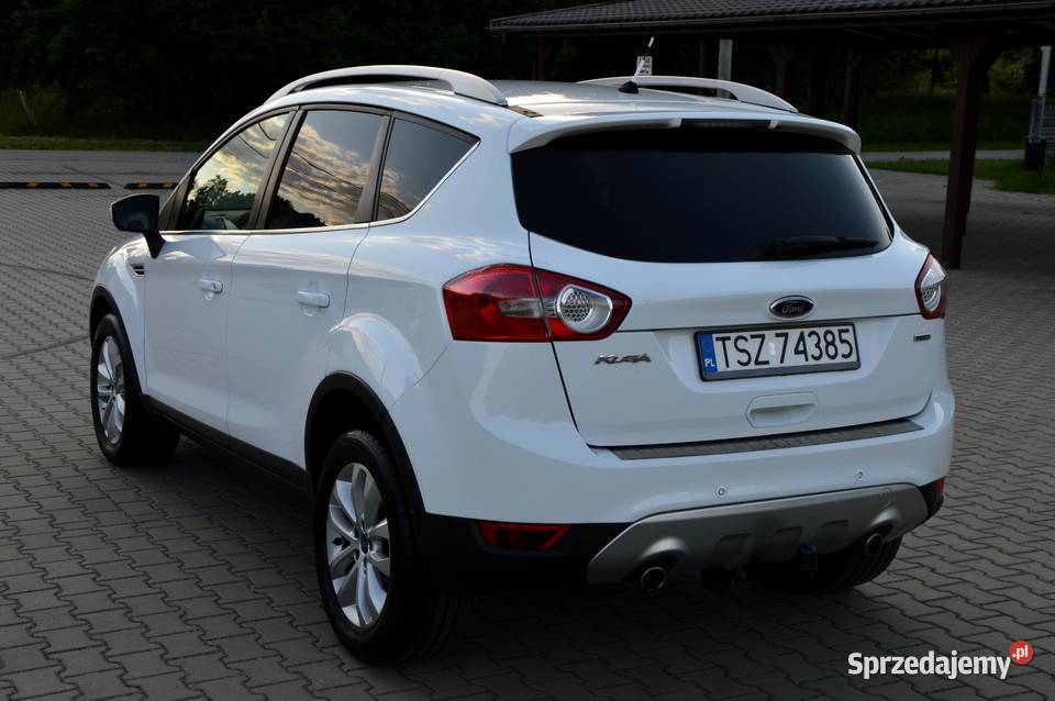 Piękna Kuga Skóra Navi PDC Grzane Długie Opłaty Staszów
