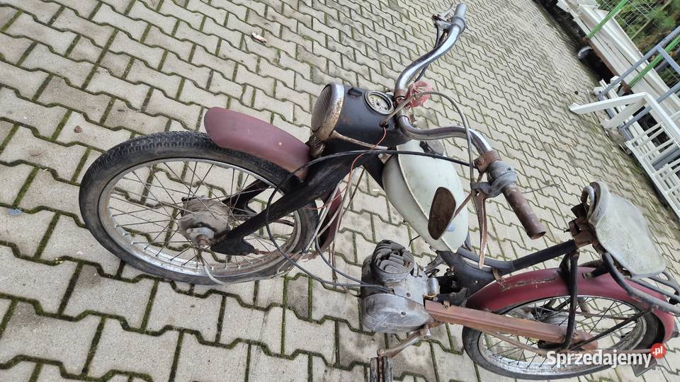 Komar 2320 sztywniak zarejestrowany Hryniewicze