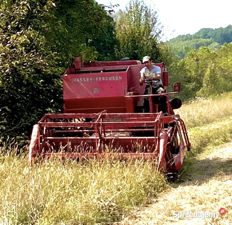 Kombajn Massey Ferguson 685 S podkarpackie