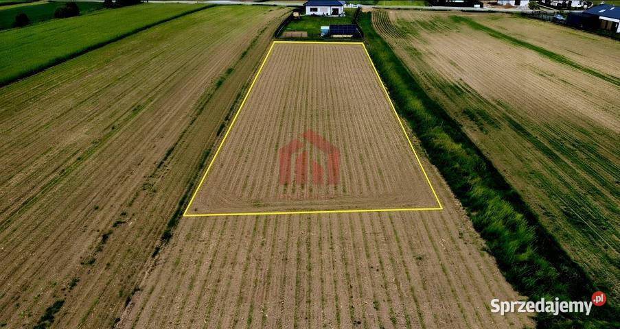 Grunt na sprzedaż 18750m2 Borek Wielki Wschodnia