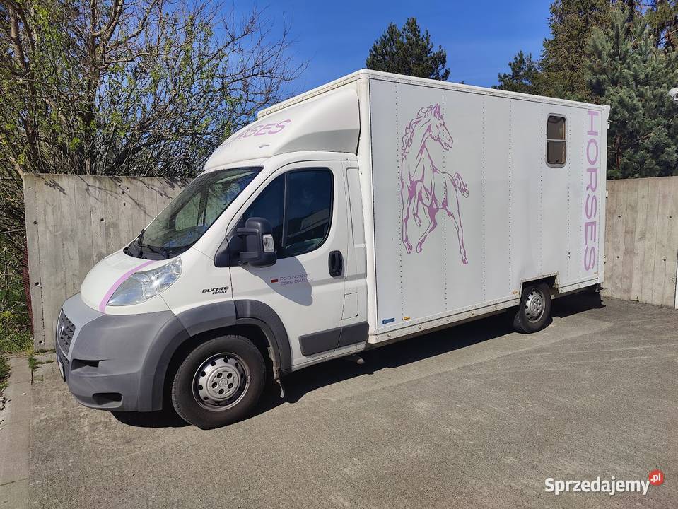 Fiat Ducato Koniowóz Maxi 160 diesel