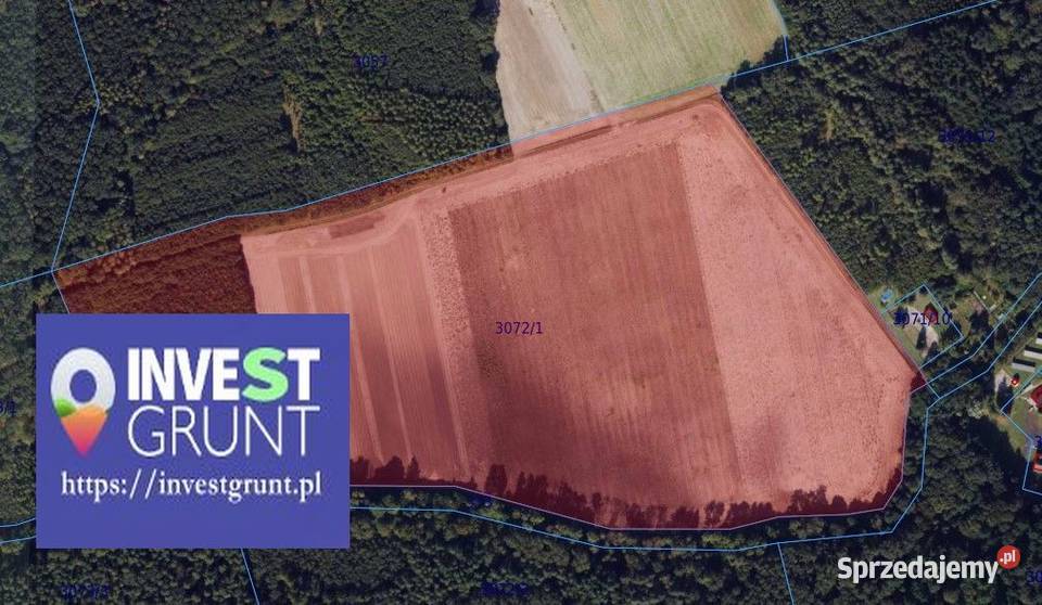 3947 ha przetarg na dzierżawę gruntów rolnych Wynajem Ciencisko sprzedam