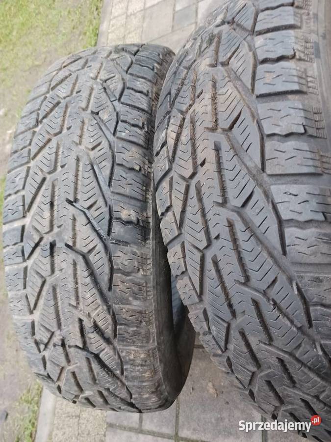 Opony ZIMOWE STRIAL WINTER 19565 R15 65mm 2018 15cale Łochów
