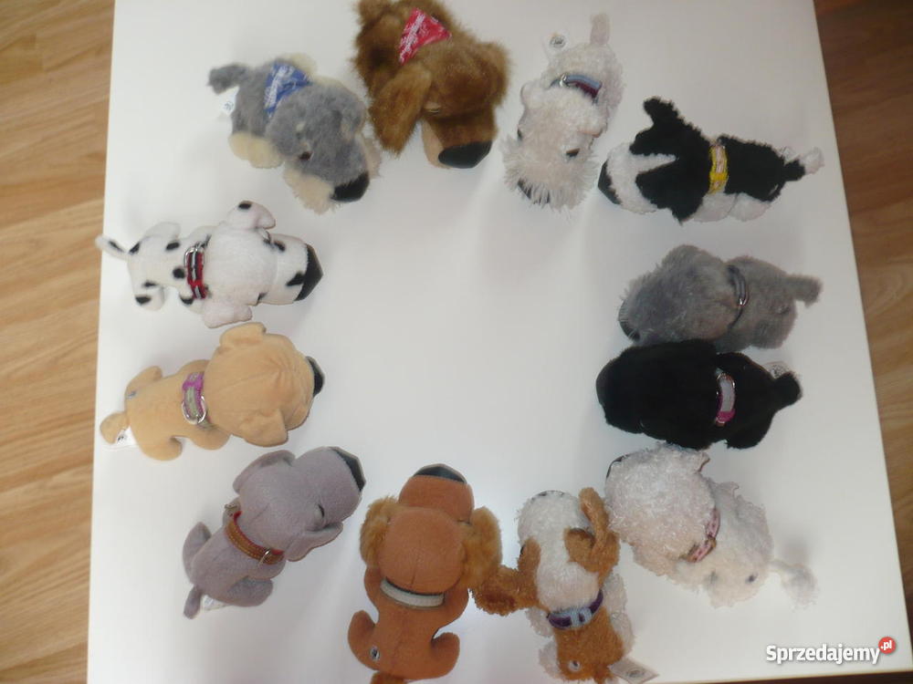 Pieski The Dog Chełm