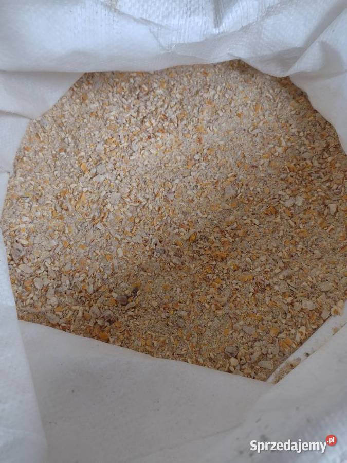 Śruta kukurydziana Zboża Gać