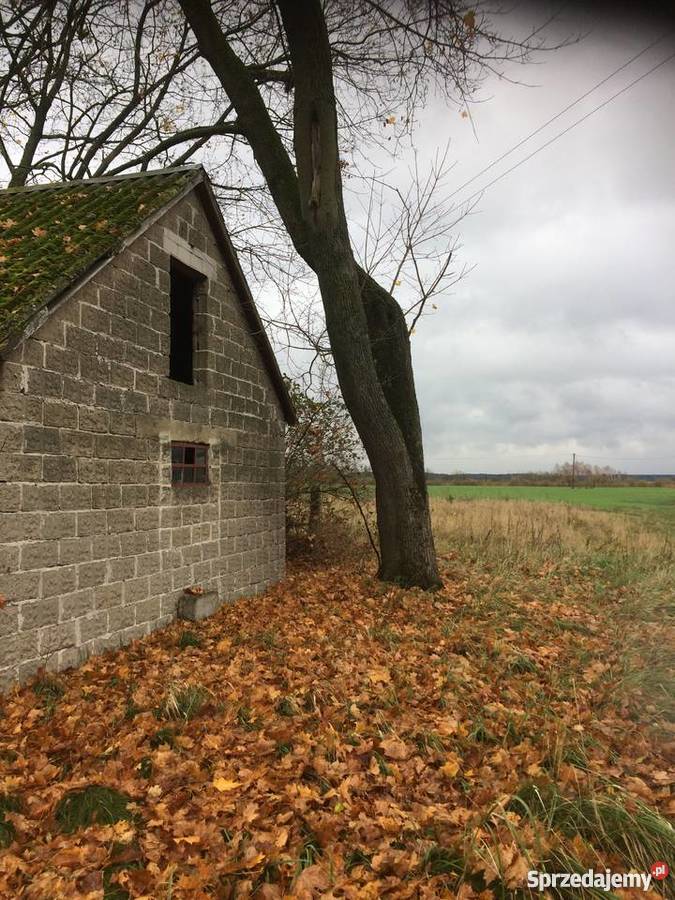 Działki I Siedlisko Jeziorem Zdworskim Grunty i działki Matyldów sprzedam