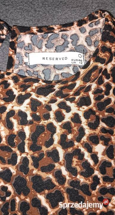 Sukienka w panterkę Rozkloszowana  Spódnice i sukienki Toruń