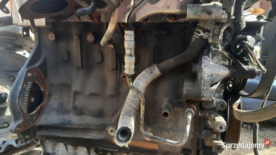 Y22DTR silnik kompletny 22 DTI 125 Opel Vectra C Dębno sprzedam