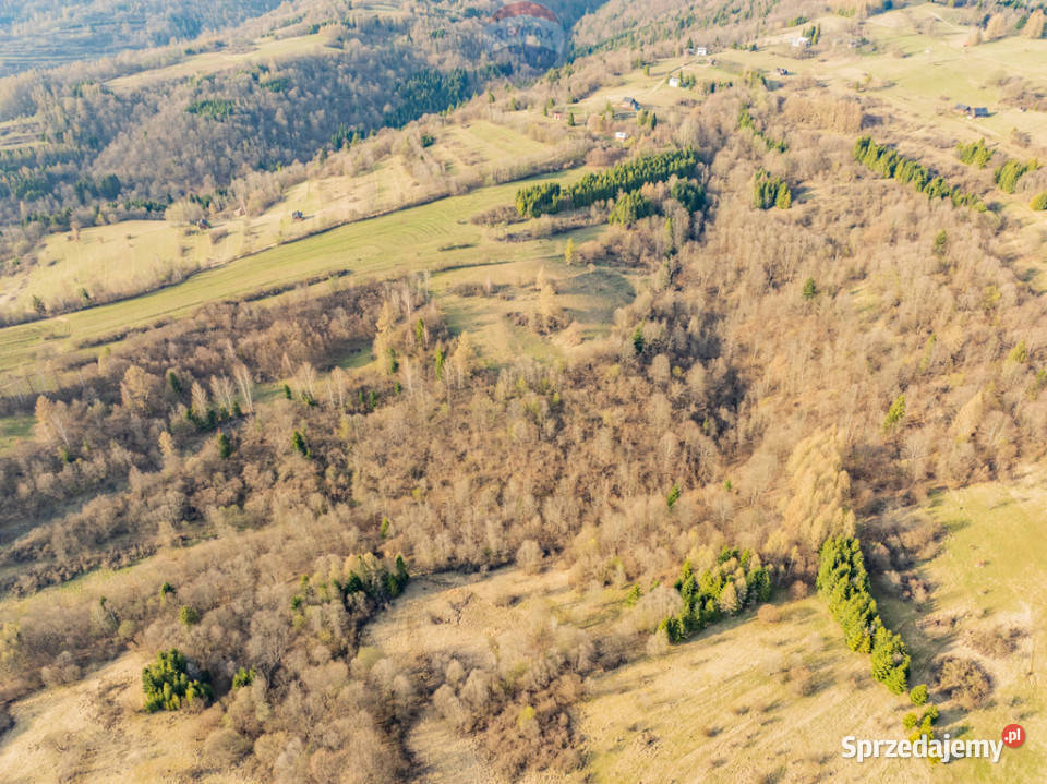 Szukasz prywatnego azylu w sercu Pienin rolna