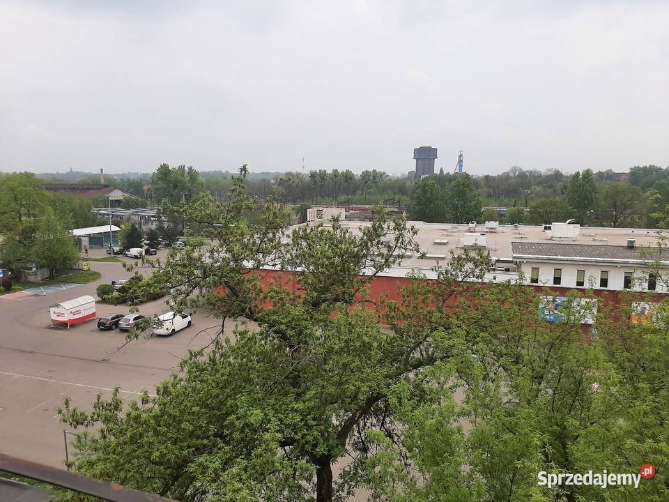 Mieszkanie Bytom Centrum Estreichera 425 M2 1
