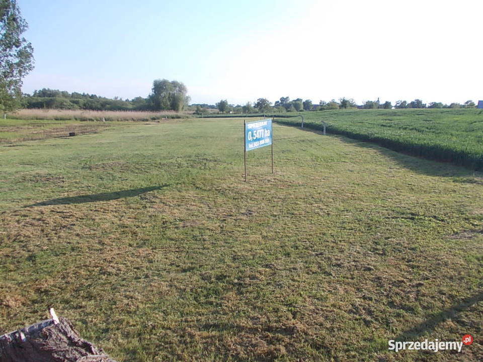 Mieszkowice Działka 5477m2 zachodniopomorskie sprzedam
