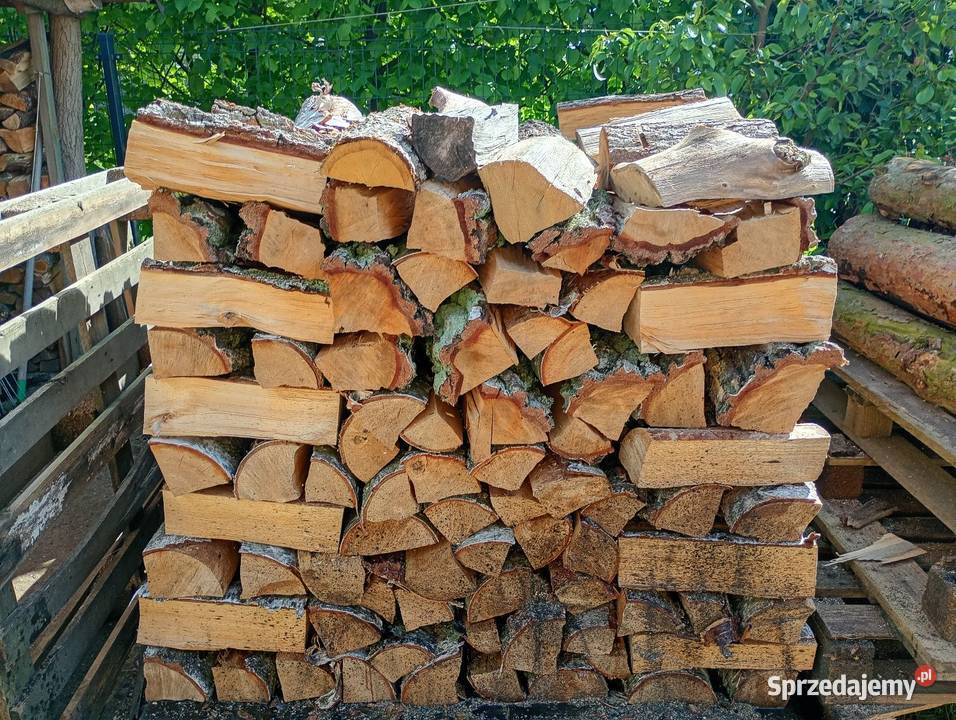 Sosna opałowa wielkopolskie sprzedam