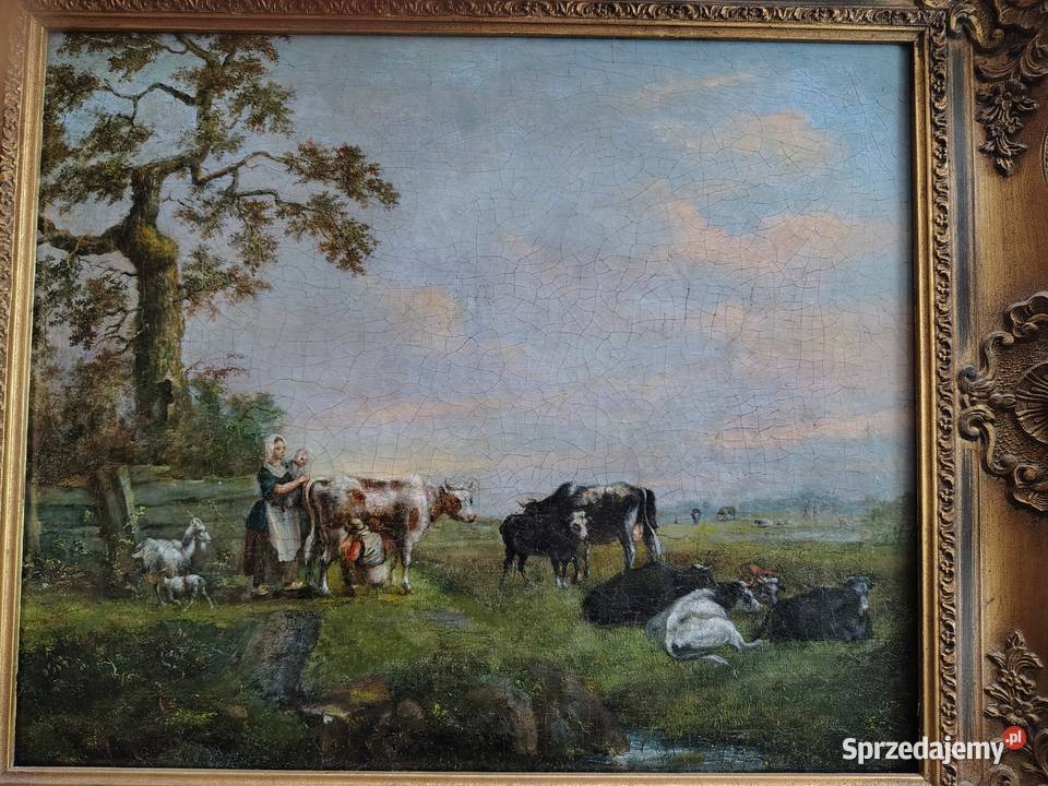 Stary obraz olejny Pastwisko Kartuzy