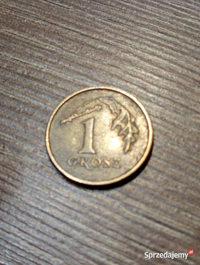 Sprzedam 1 grosz 1990 r Chełm